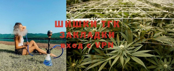 ПСИЛОЦИБИНОВЫЕ ГРИБЫ Баксан