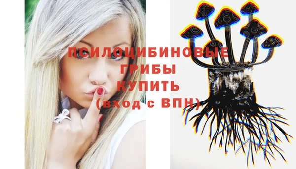 синтетический гашиш Беломорск