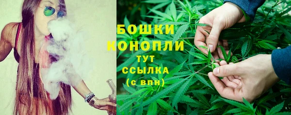 ПСИЛОЦИБИНОВЫЕ ГРИБЫ Белокуриха