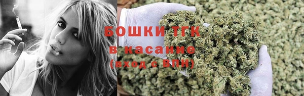 ПСИЛОЦИБИНОВЫЕ ГРИБЫ Белокуриха