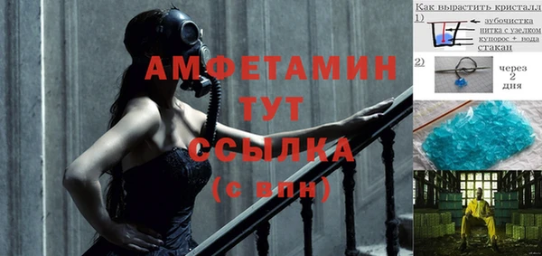 ПСИЛОЦИБИНОВЫЕ ГРИБЫ Белокуриха