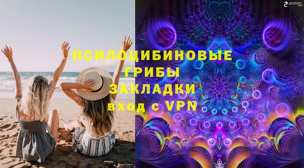 ГАЛЛЮЦИНОГЕННЫЕ ГРИБЫ Кодинск