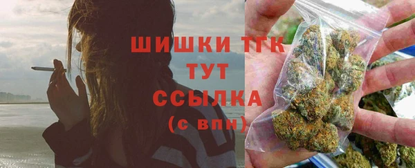 ПСИЛОЦИБИНОВЫЕ ГРИБЫ Белокуриха