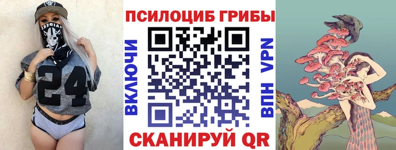 Псилоцибиновые грибы мицелий  Высоковск 